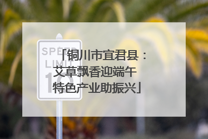 铜川市宜君县：艾草飘香迎端午 特色产业助振兴